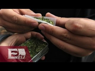 Amparo para el consumo recreativo de la mariguana / Francisco Zea