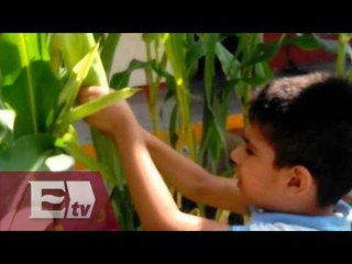 Desnudan en Puebla a niños indígenas por hurtar elotes  /  Paola Virrueta