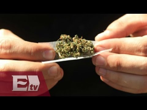 Aprobación del uso recreativo de la marihuana en México causa polémica en EU / Yuriria Sierra