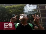 Fallo sobre mariguana en México sacude política antidrogas de EU / Kimberly Armengol