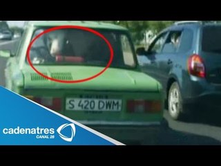 Hombres transportan vaca en coche pequeño / Men carrying cow in small car