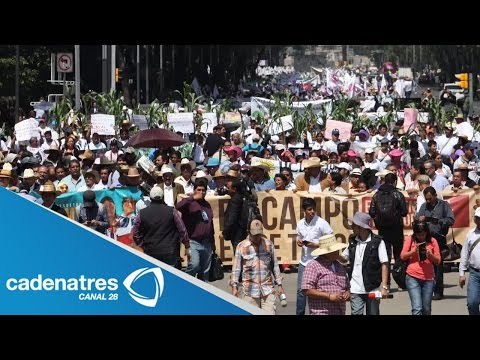 Saldo blanco en marchas de campesinos en el DF