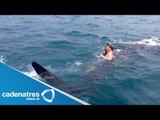 Tiburón asusta a turistas en playas de Yucatán / Shark scares tourists on beaches Yucatan