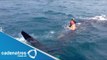 Tiburón asusta a turistas en playas de Yucatán / Shark scares tourists on beaches Yucatan