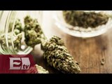 Buscan persmiso para uso recreativo de la mariguana para seis personas más / Ingrid Barrera