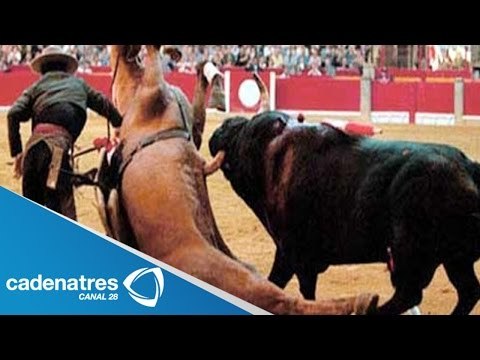 Asociaciones Civiles rechazan el maltrato animal / Torneo de lazo en Yucatán