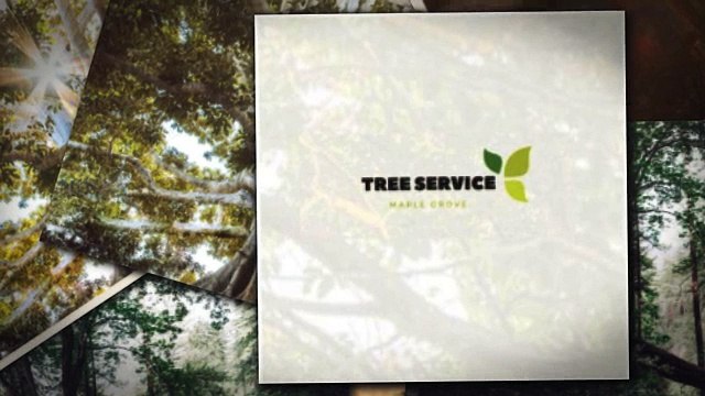 Tree Service Maple Grove