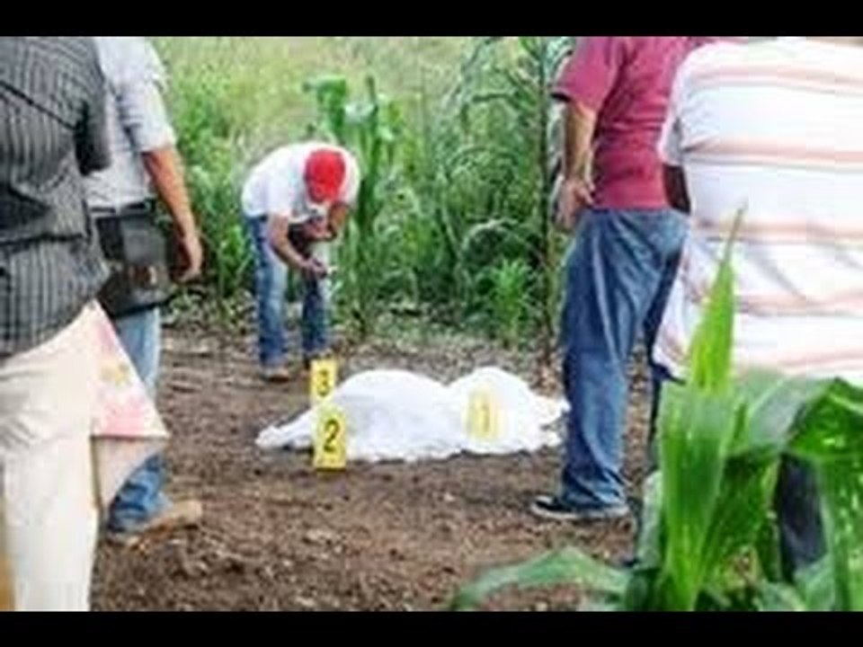 Mujer es atacada por sus propios perros y pierde la vida en Chiapas