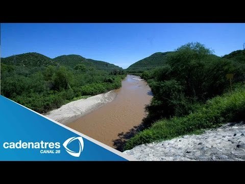 Escuelas posponen inicio de clases por la contaminación del río Sonora