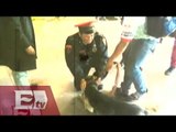 Rescatan a perro que invadió las vías del Metro en la estación Coyuya/ Atalo Mata