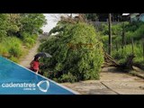 Tormenta derriba árboles y cables en Morelos / Storm knocks down trees and wires in Morelos