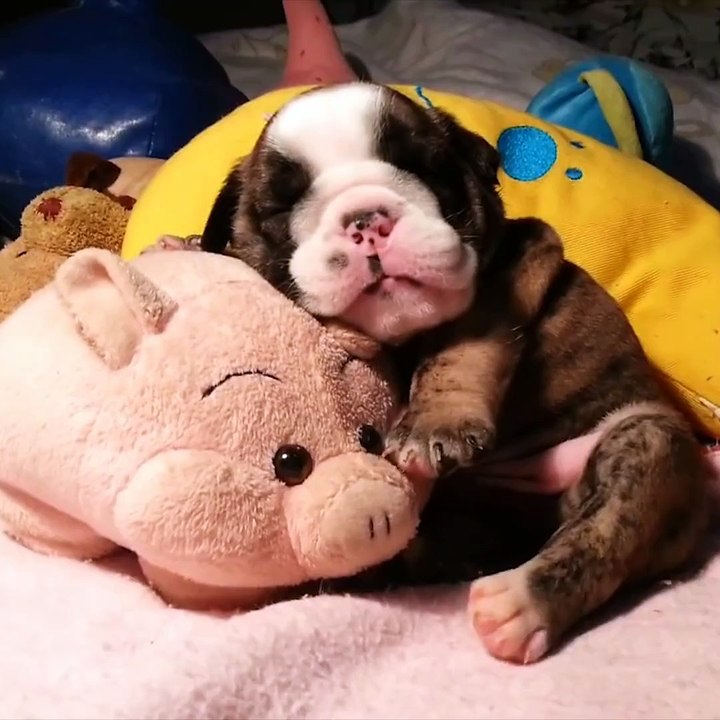 ZzZzZzZzZz