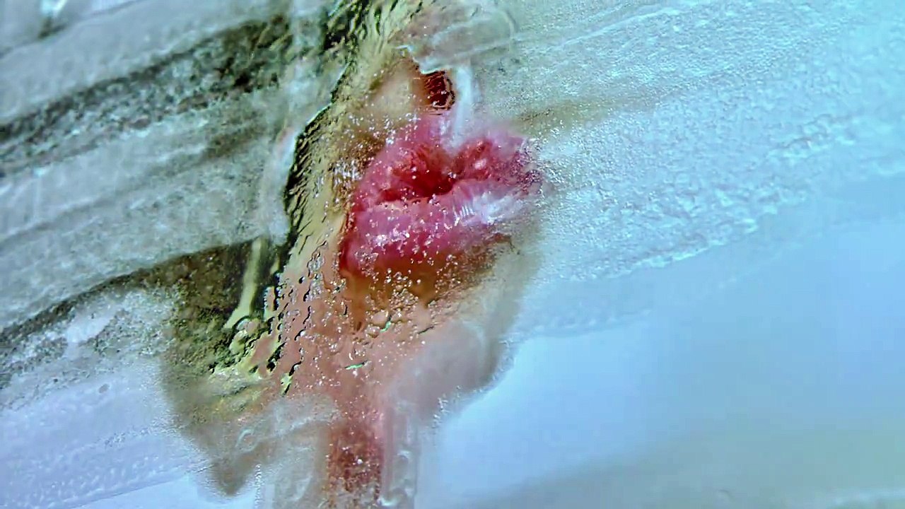 Lady Gaga covers The New York Times Magazine, shot by Marilyn Minter.