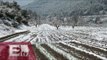 Cultivos afectados por nevadas cuentan con seguro por desastres naturales: Sagarpa / Atalo Mata