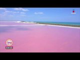 ¡No podrás creer el rosa de este lago! Las Coloradas en Yucatán! | Sale el Sol