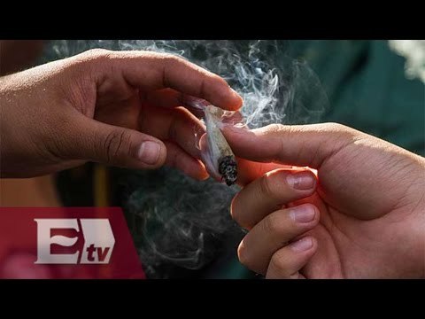 Legalización de la mariguana en México, un golpe al narcotráfico/ Vianey Esquinca