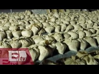 Aseguran contenedor con 1920  bultos de cocaína y arena en Colima / Ricardo Salas