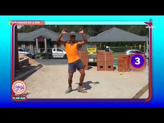 ¡Los videos más divertidos del mundo de la construcción! | Sale el Sol