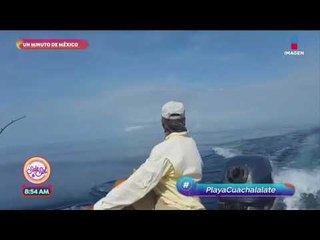 ¡Hermosa! ¡Visita Playa Cuachalalate en Ixtapa Zihuatanejo!