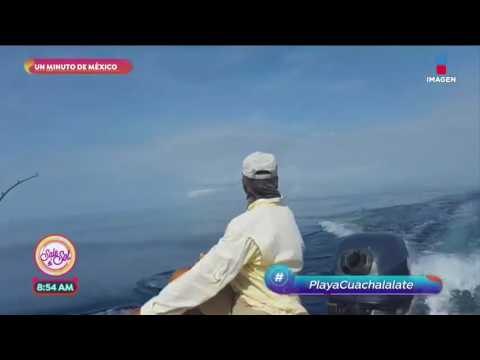 ¡Hermosa! ¡Visita Playa Cuachalalate en Ixtapa Zihuatanejo!