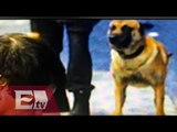 Perros entrenados del penal del Altiplano “dan visto bueno” a comida de El Chapo/ Vianey Esquinca
