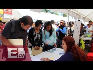 Inversión de 31 mdp en México para programas de apoyo al empleo/ Yazmín Jalil