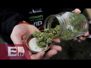Arranca debate para regulación de la marihuana en México / Paola Virrueta