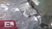 Fuga de agua en calzada de Tlalpan provoca encharcamientos/ Vianey Esquinca