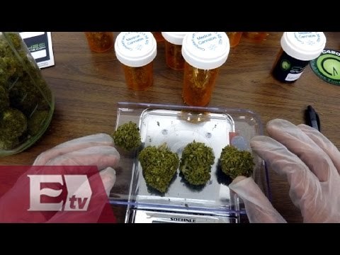 ¿De dónde obtendrán las semillas los amparos para consumo de mariguana? Atalo Mata