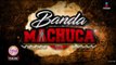 ¡La Banda Pequeños Musical en Banda Machuca! | Sale el Sol
