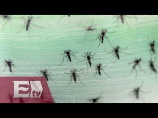 Confirman 4 casos de Zika en Oaxaca / Ricardo Salas