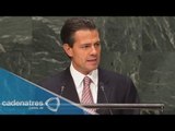 Peña Nieto opina sobre la captura del líder de los Beltrán Leyva