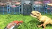 Indoraptor vs Indominus Rex 2015 Jurassic World Dinosaurs vs 2018 Dinosaur Toys