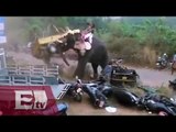 Elefante fuera de control en la India destroza vehículos/ Yazmín Jalil