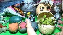 Hatch baby Dinosaur Eggs Toys with Jurassic World Dinosaur Toys Fun Video for Kids!