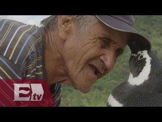 Un pingüino regresa cada año para reencontrarse con el hombre que le salvó la vida/ Yuriria Sierra