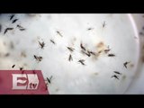 Brasil espera menor proliferación del mosquito del zika por descenso de temperatura/ Atalo Mata
