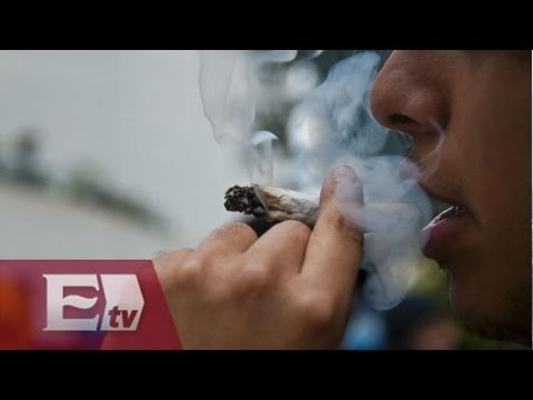 Todo listo para debate sobre uso de la mariguana en México / Paola Virrueta
