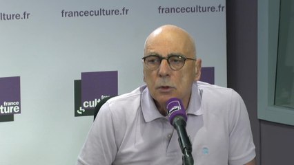 Alain Prochiantz : "Les théories sont des constructions intellectuelles faites pour évoluer"
