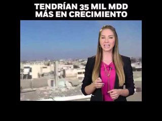 ‘Si la guerra no existiera’, en opinión de Paola Barquet