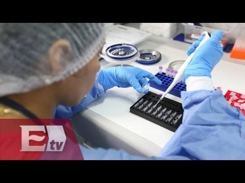 Vacuna contra el zika podría llegar muy tarde, dice la OMS / Ricardo Salas