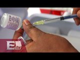 Desabasto de antiviral para la influenza en farmacias privadas del país / Yuriria Sierra