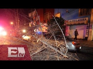 600 árboles y 40 postes caídos, es el recuento de los daños en la CDMX / Yuriria Sierra