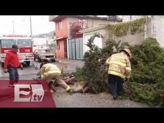 Reportan severos daños en Hidalgo por fuertes vientos / Francisco Zea