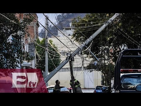 Bomberos retiran árboles y espectaculares peligrosos en CDMX / Ricardo Salas
