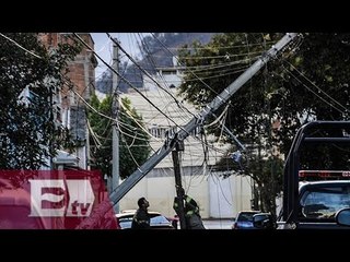 Bomberos retiran árboles y espectaculares peligrosos en CDMX / Ricardo Salas