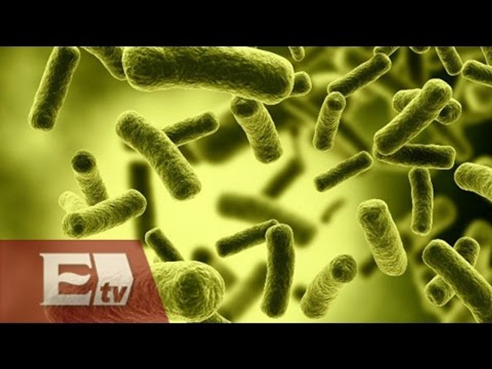 Bacterias se vuelven más resistentes al accionar de los fármacos/ Hiram Hurtado