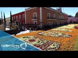 ¡ENTÉRATE! Tapete monumental de flores en Atlixco, Puebla