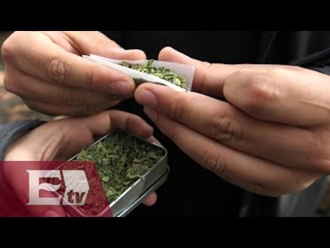 Mondragón y Kalb asegura que la mariguana no se legalizará en México/ Vianey Esquinca