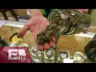SCJN analizará legalización de uso de marihuana con fines médicos / Atalo Mata